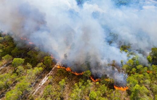 Incendi boschivi in Italia 2026
