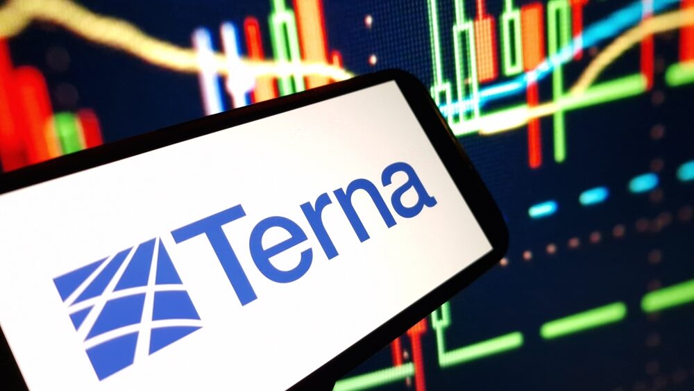Immagine rappresentativa di Terna e dei suoi investimenti