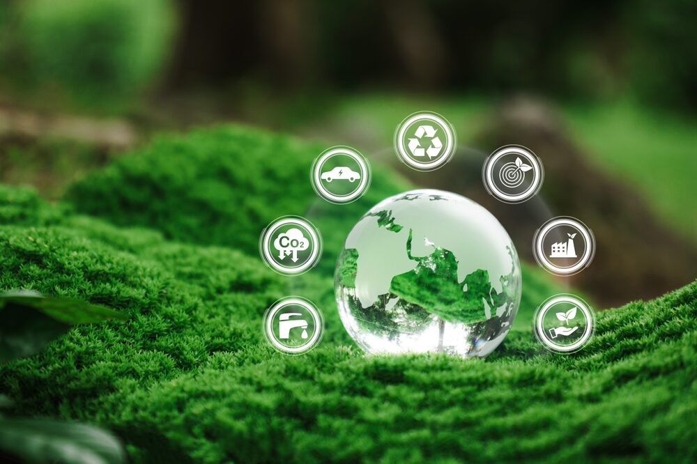 Eco Festival a Roma