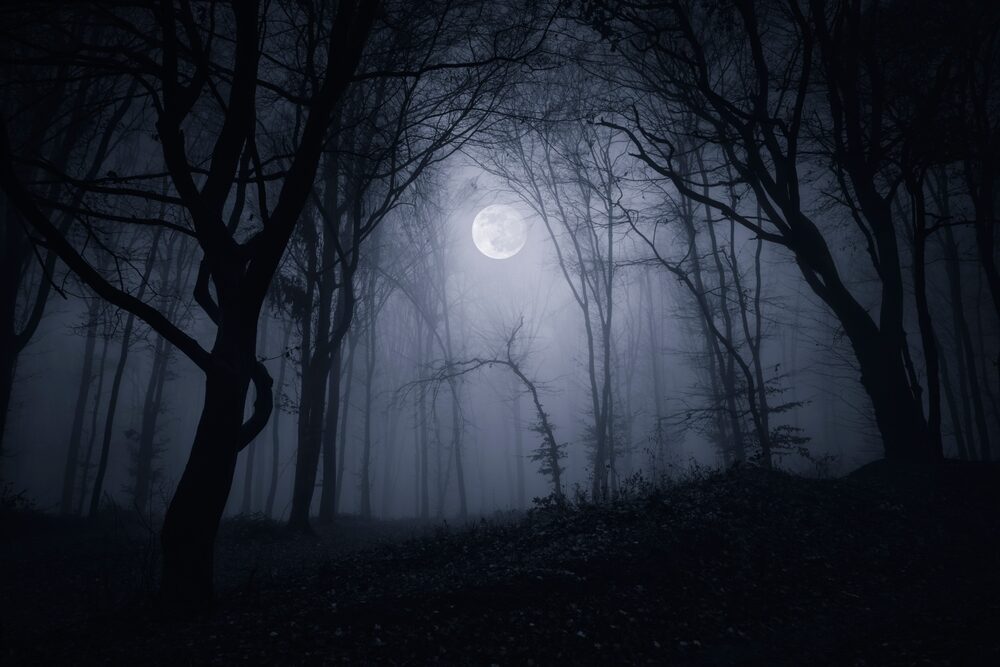 Silent Hill: Townfall - Immagine di gioco
